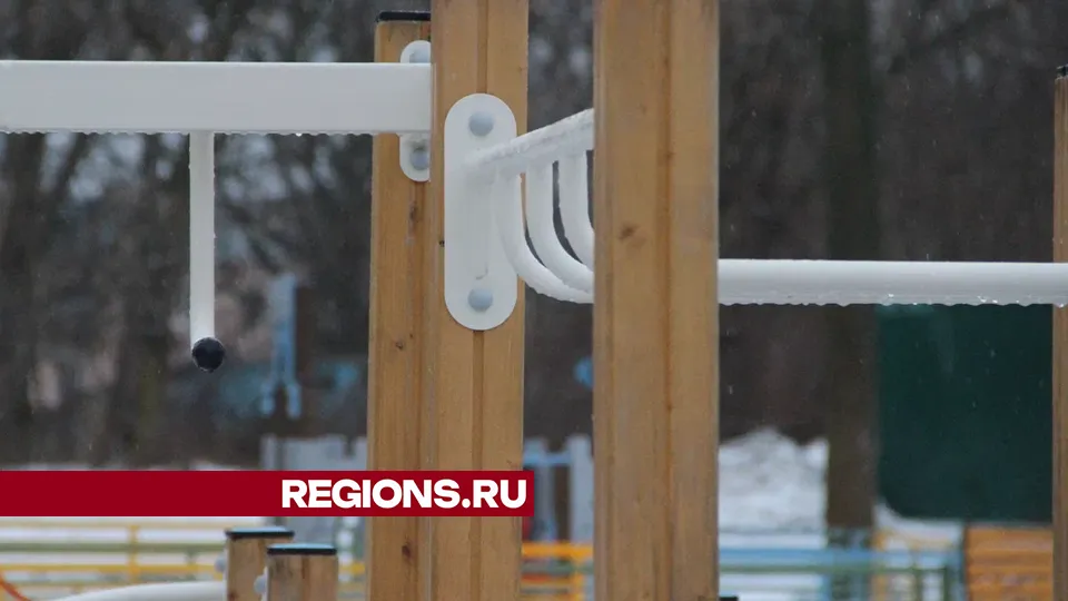 Фото: REGIONS/Василий Тремасов