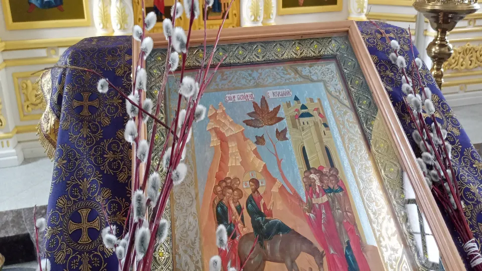 Фото: МедиаБанк Подмосковья/Игорь Панов