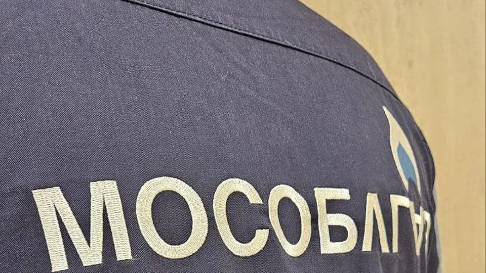 Фото: Министерство по содержанию территорий и государственному жилищному надзору МО