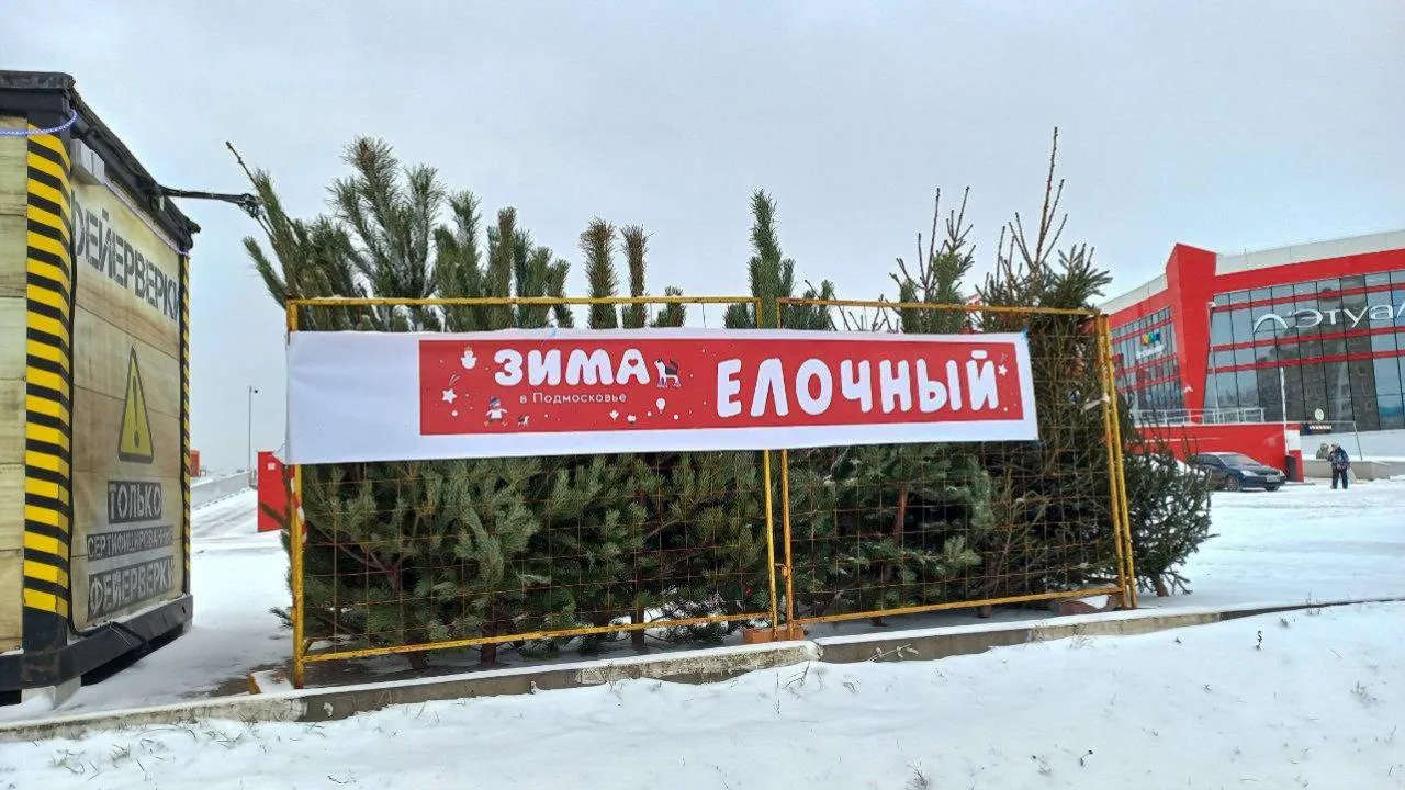 REGIONS/Олег Книжник