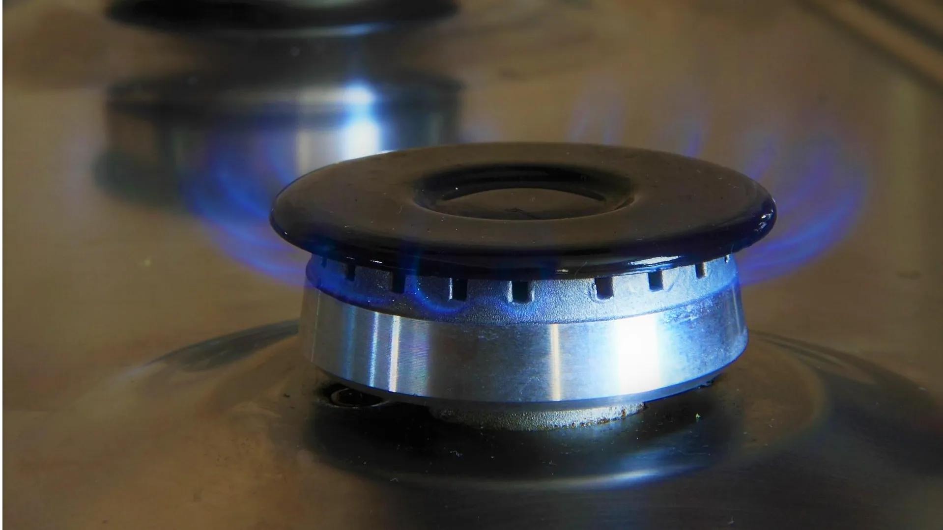 фото:ru.freepik.com