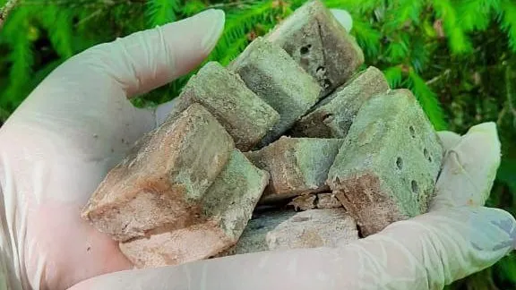 Фото: Медиаархив МО