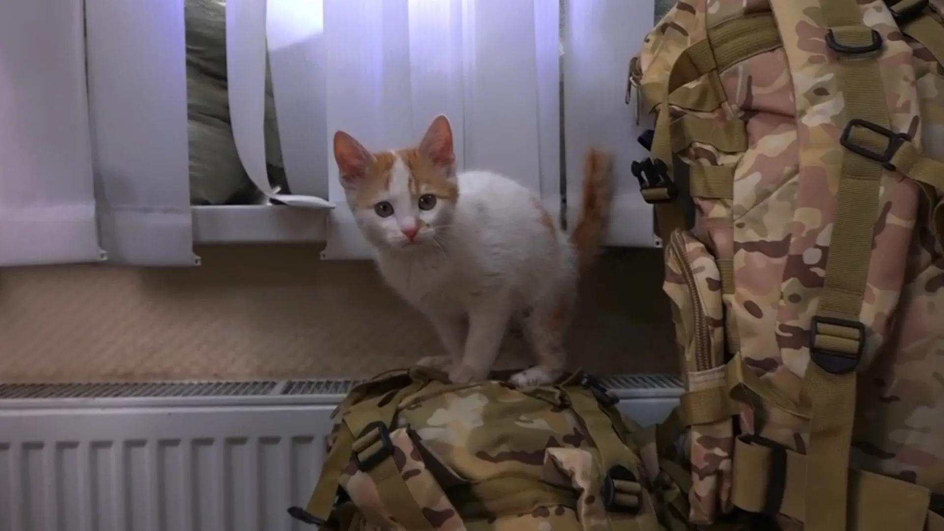 Фото: t.me/tatianavitusheva