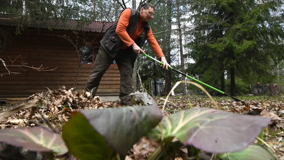 Фото: РИА Новости/Кирилл Каллиников