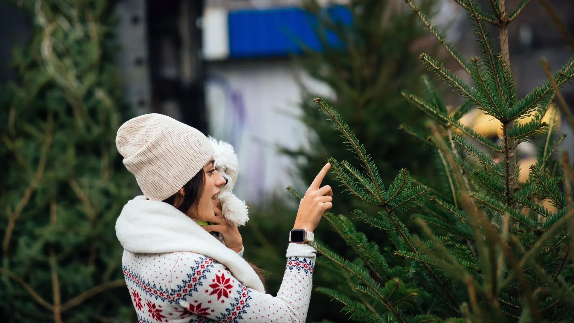 медиасток.рф