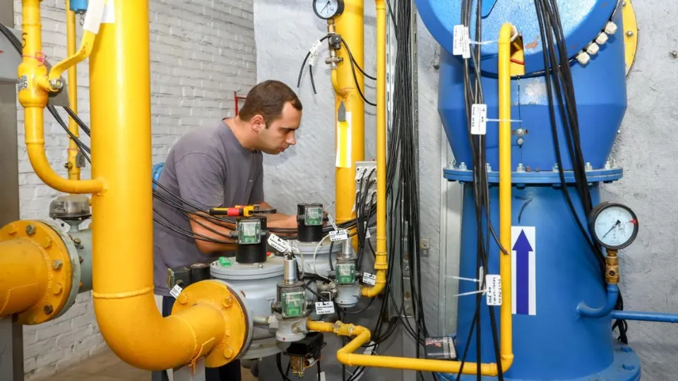 Фото: Раменский медиацентр