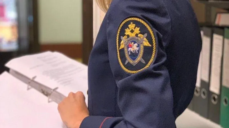 В Богородском округе задержали местного жителя, который забил насмерть мужчину на детской площадке