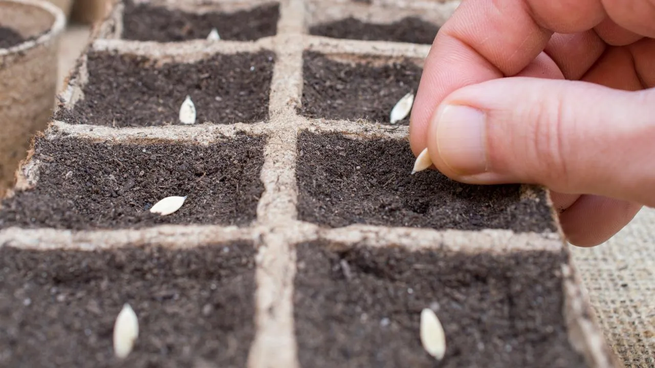 istockphoto.com/Jurgal