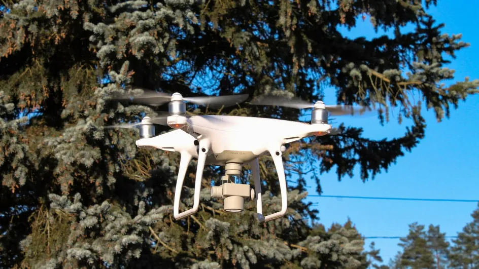 Фото: Комлесхоз МО