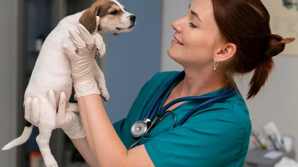 Фото: freepik.com