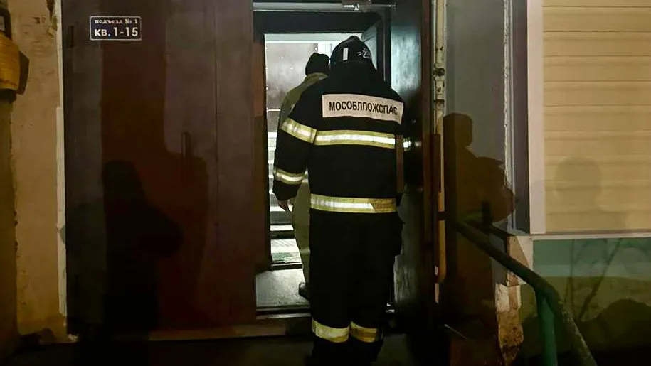 Фото: пресс-служба ГКУ МО «Мособлпожспас»