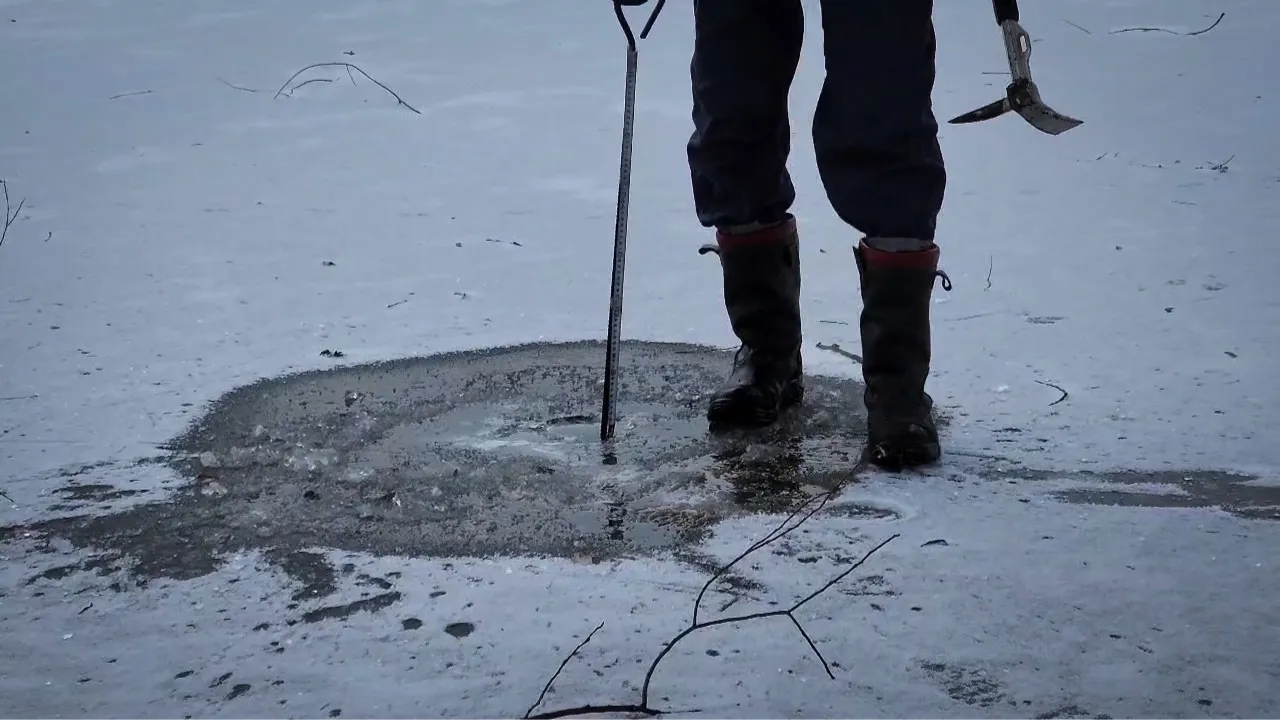 МедиаБанк Подмосковья/Ольга Антонова