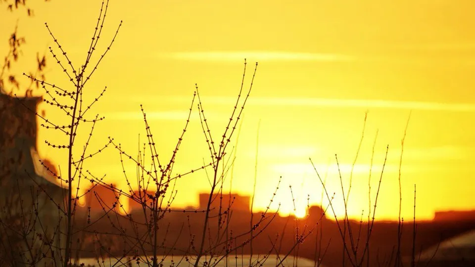 Фото: REGIONS/Владимир Ерастов