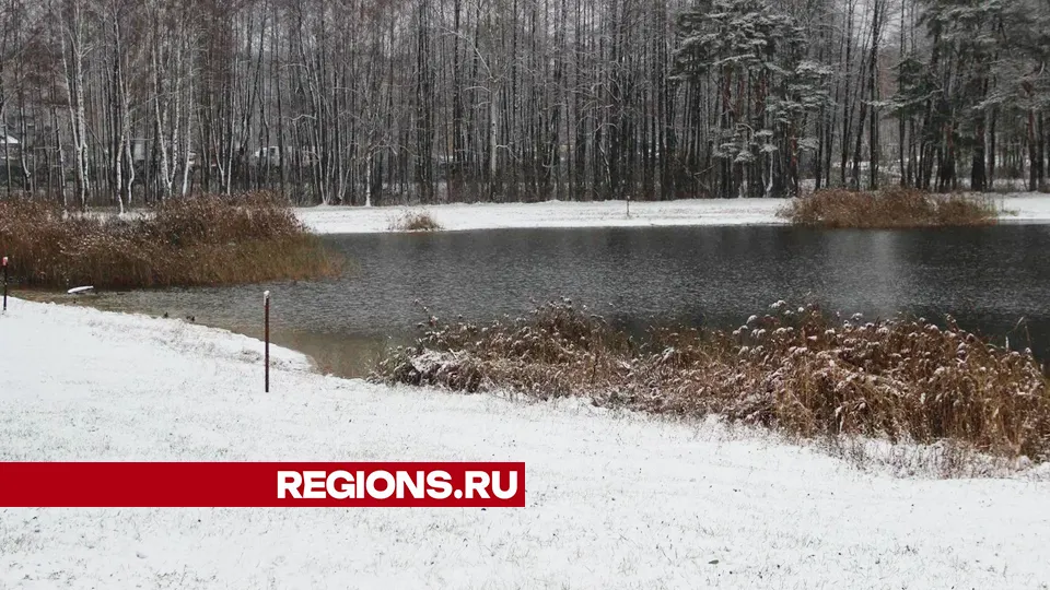 Фото: REGIONS/Василий Тремасов