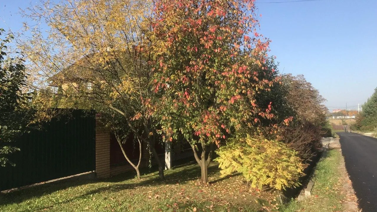 фото: Любовь Ермакова