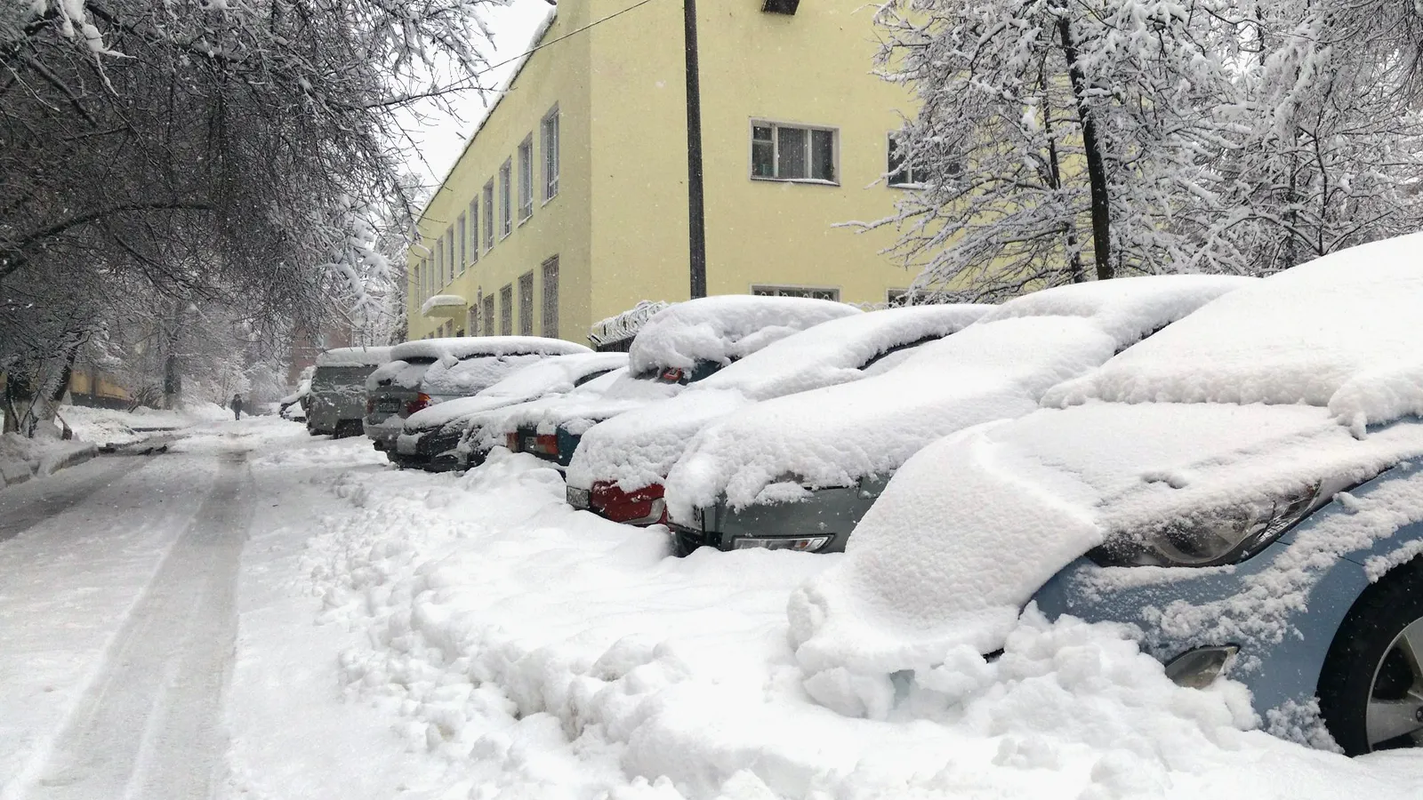 Фото: Антон Кондратюк