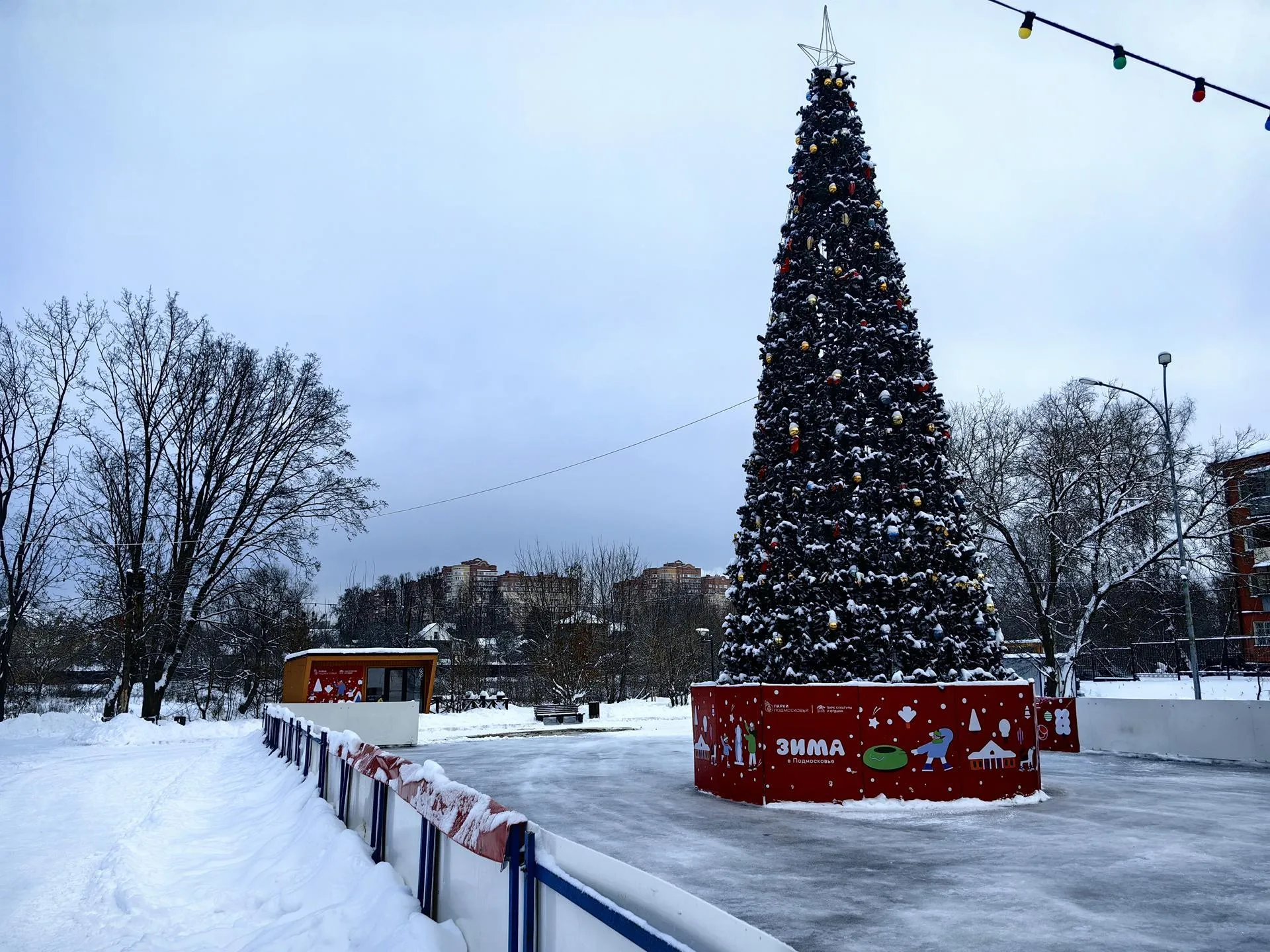 Елена Катасонова