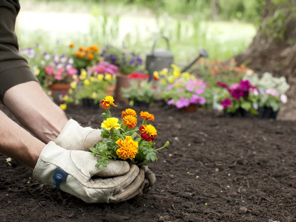 Фото: istockphoto.com