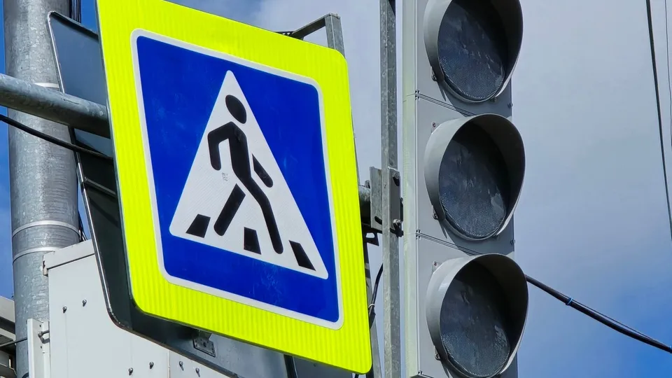 Фото: МедиаБанк Подмосковья/Марина Анисимова