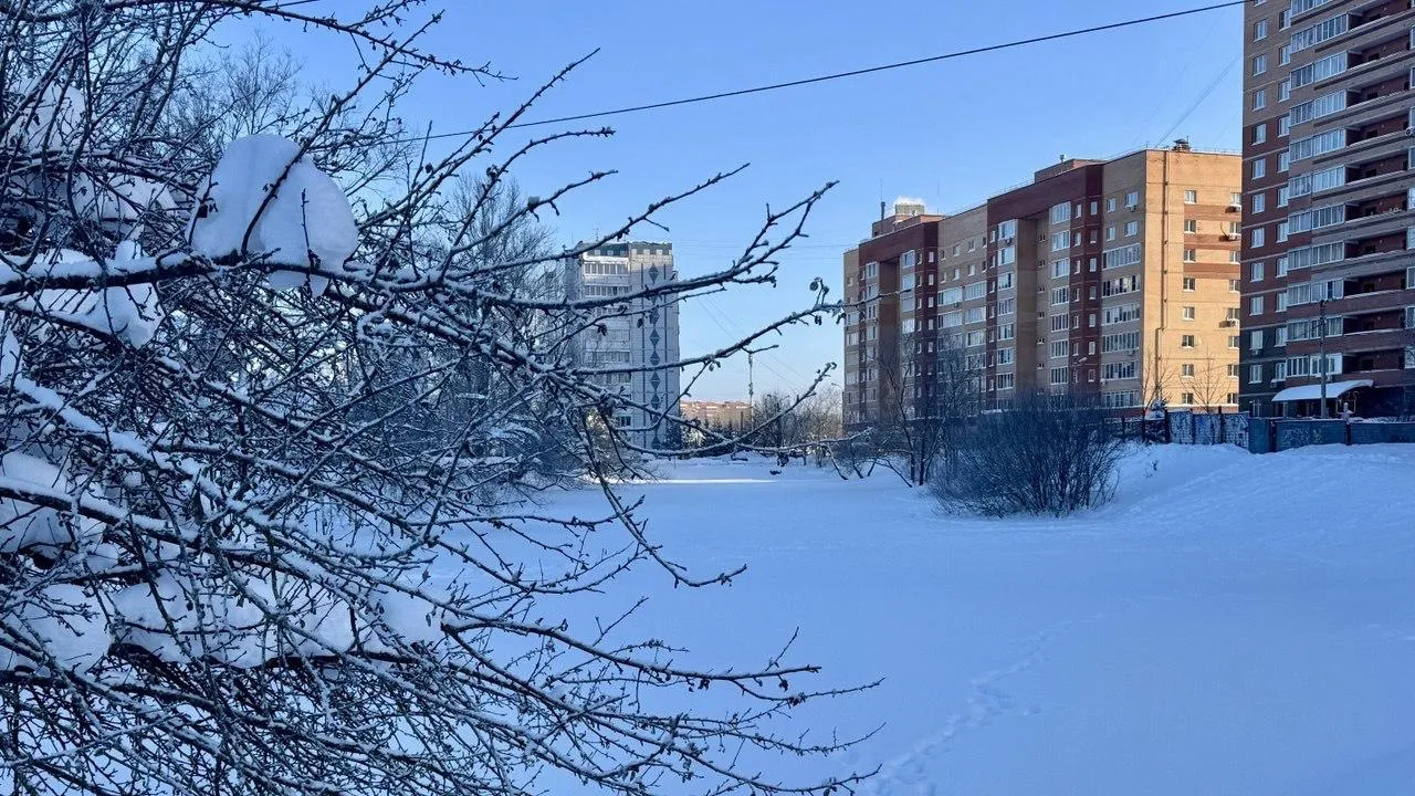 Татьяна Сташенко