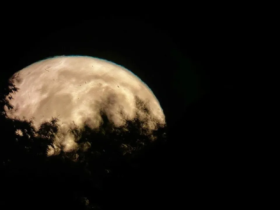 Фото: МедиаБанк Подмосковья/Яна Шаливская