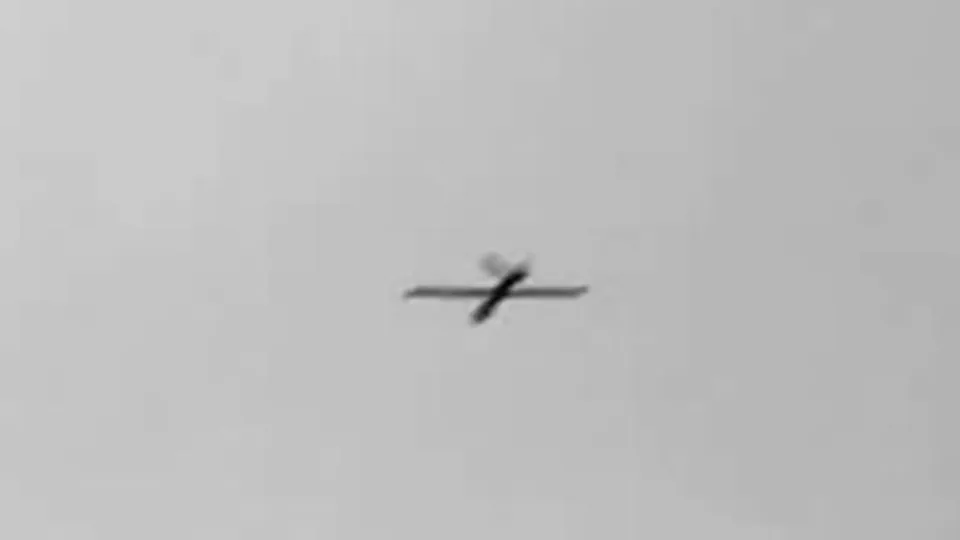 Фото: сommons.wikimedia/ALPR