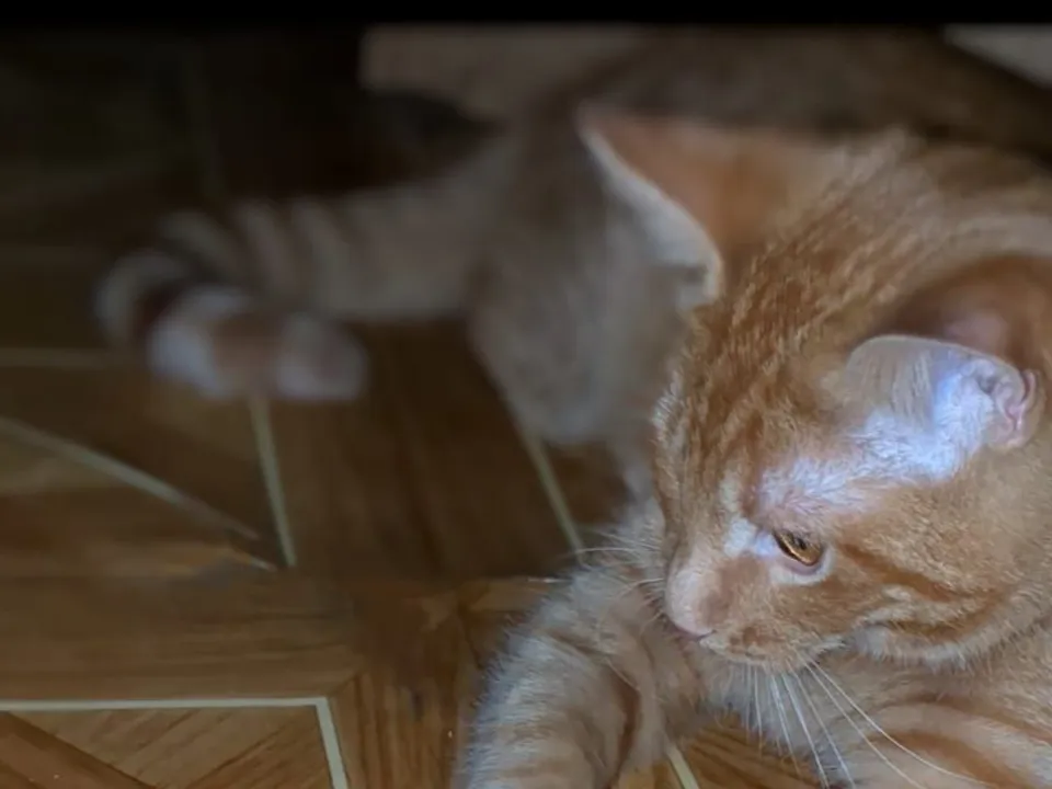 Фото: Валентина Иванова