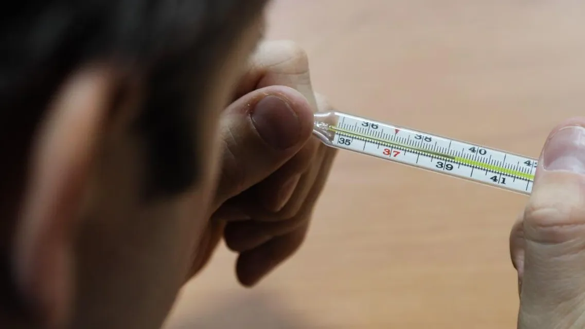 Фото: пресс-служба администрации Сергиево-Посадского г.о.