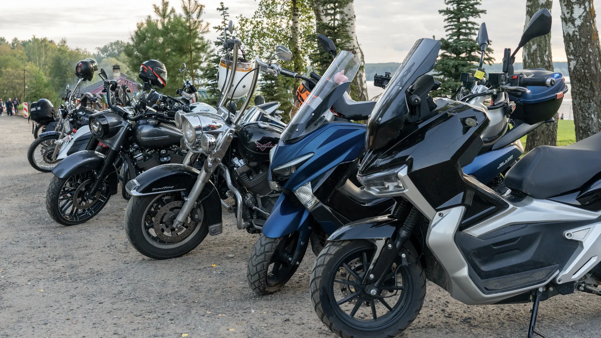 Фото: медиасток.рф