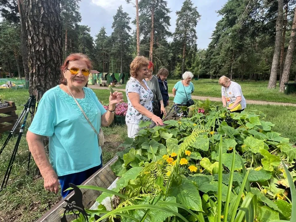 Фото: t.me/kuz_les