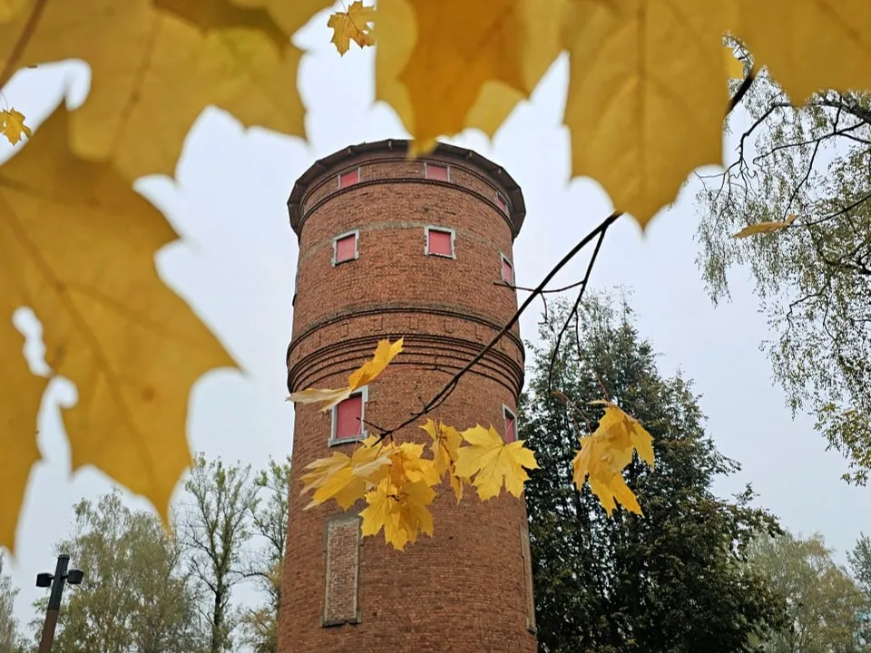 Фото: МБУК&nbsp;«Городской парк культуры и отдыха»