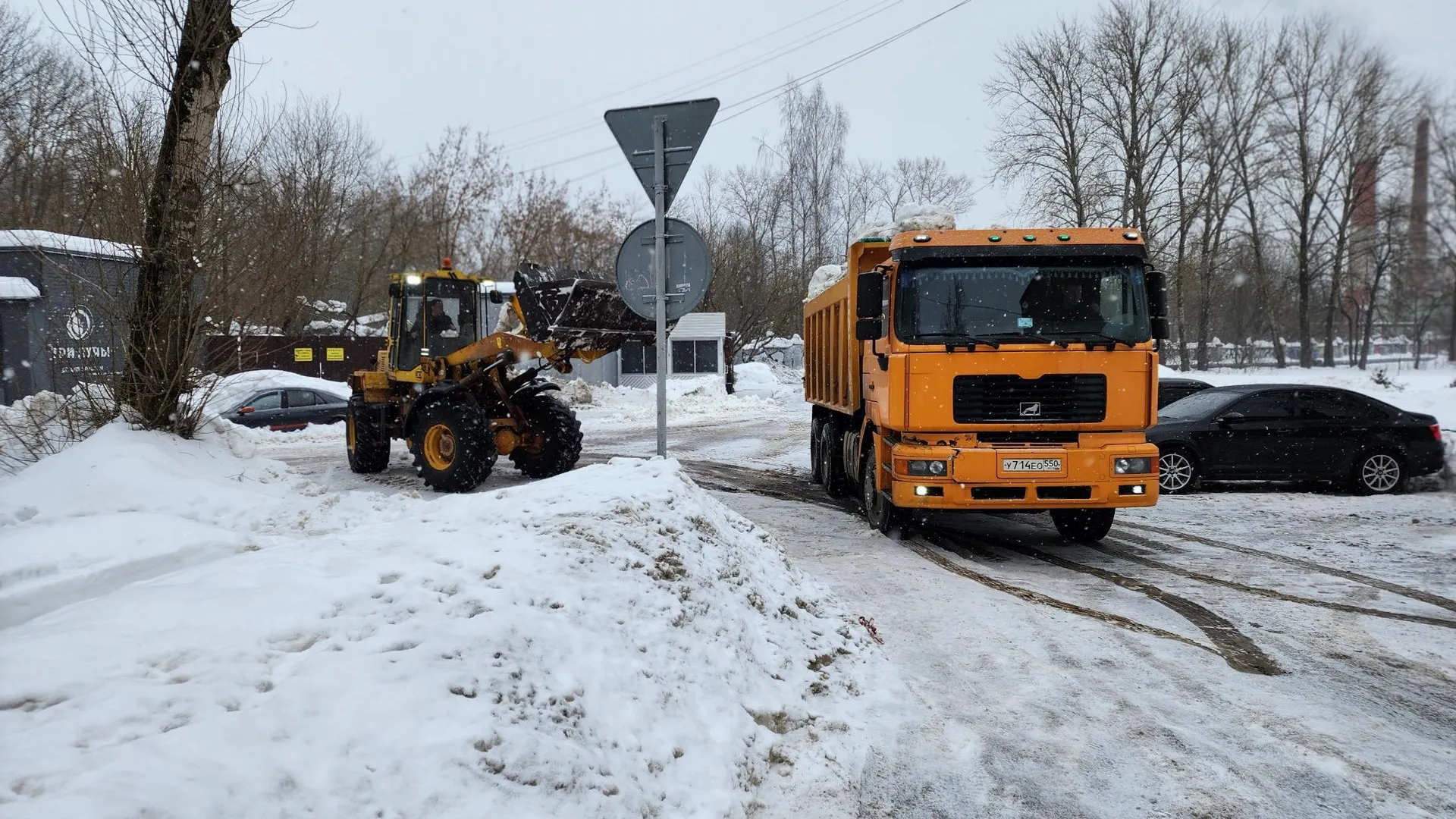 REGIONS/Елена Шумакова