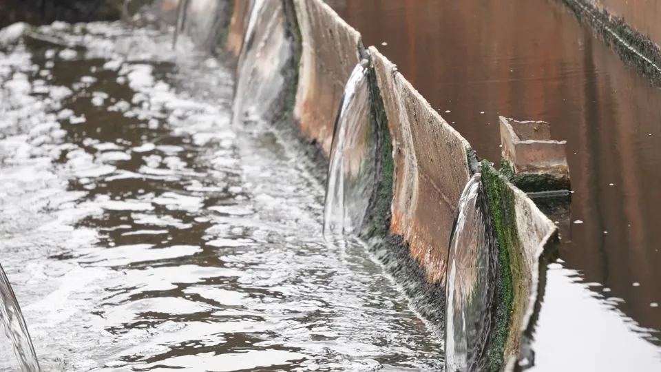 Фото: МедиаБанк Подмосковья/Алена Притула