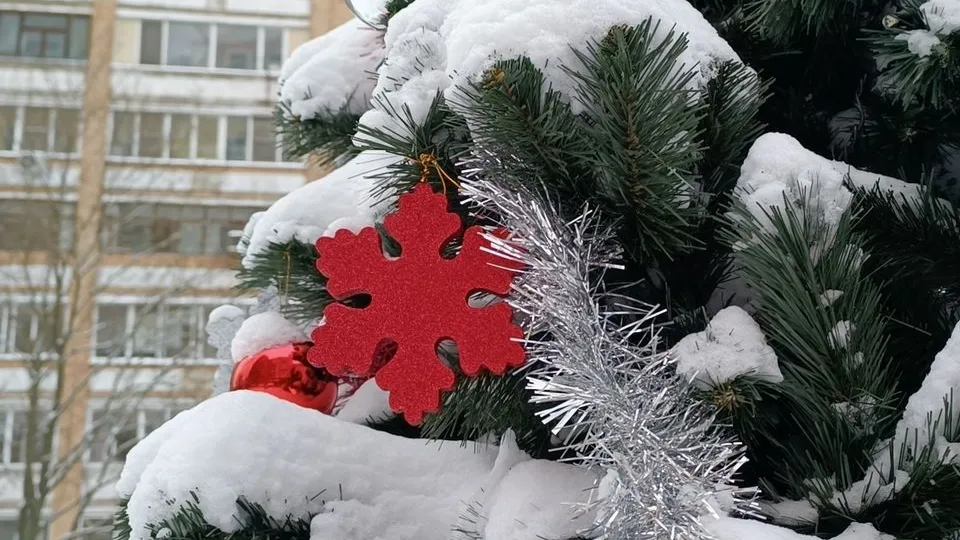 Фото: МедиаБанк Подмосковья/Екатерина Дятловская