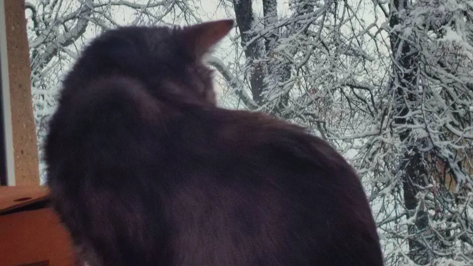 Фото: Александра Серова