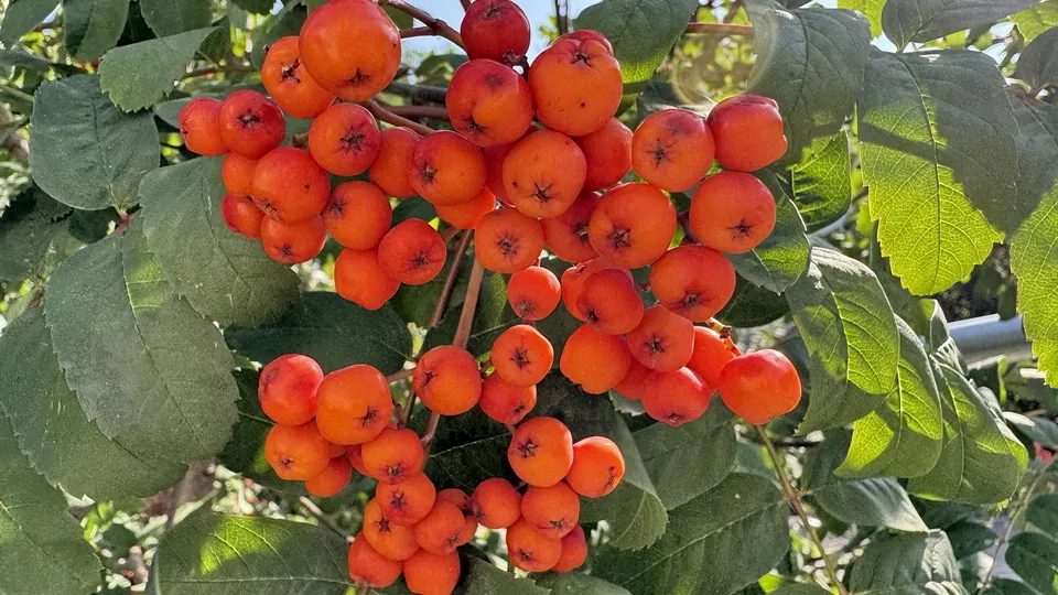 Фото: REGIONS/Александр Легкий