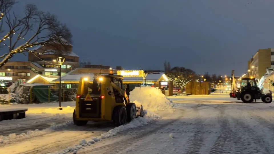 Фото: пресс-служба администрации Дмитровского м.о.