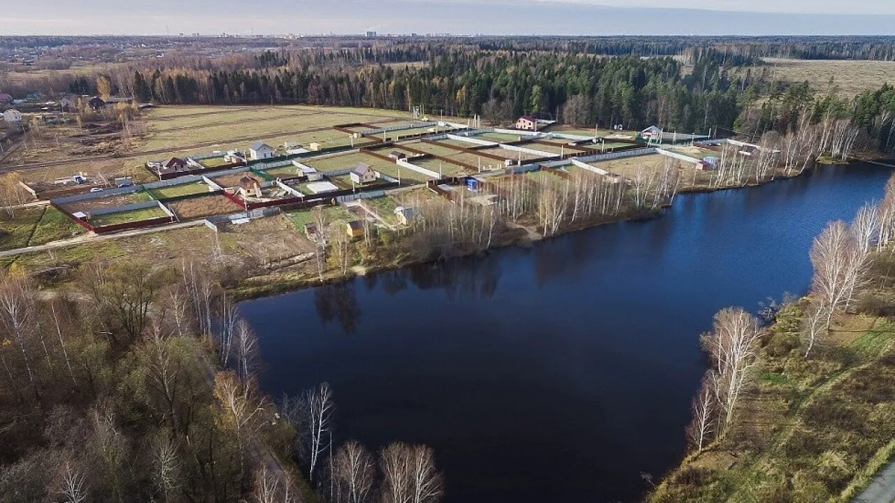 Фото: пресс-служба губернатора и Правительства Московской области