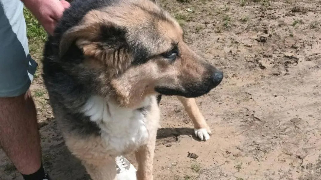 Фото: Администрация г.о. Шаховская