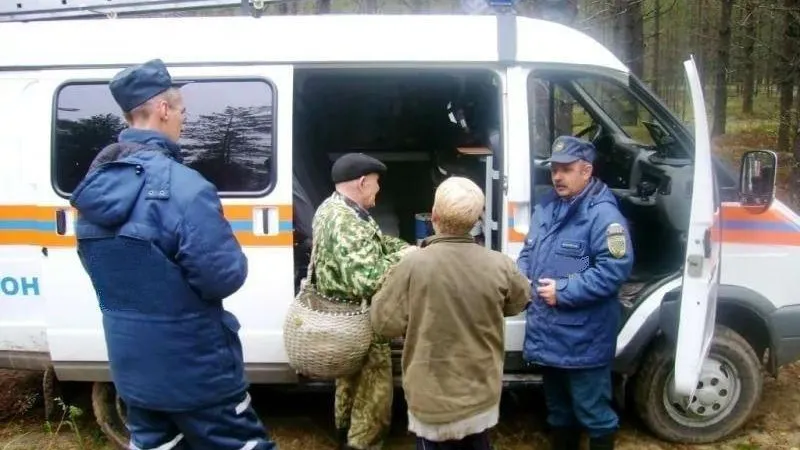 Шестерых заблудившихся грибников вывели из леса работники Мособлпожспаса за сутки
