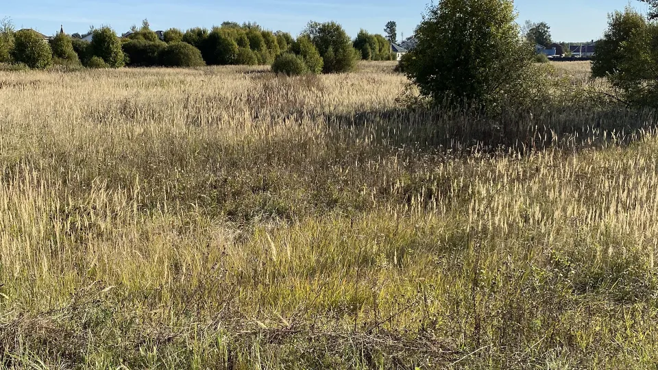 Фото: Комитет по конкурентной политике МО