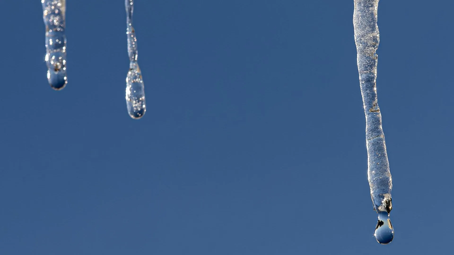 Edgar Breshchanov/Global Look Press