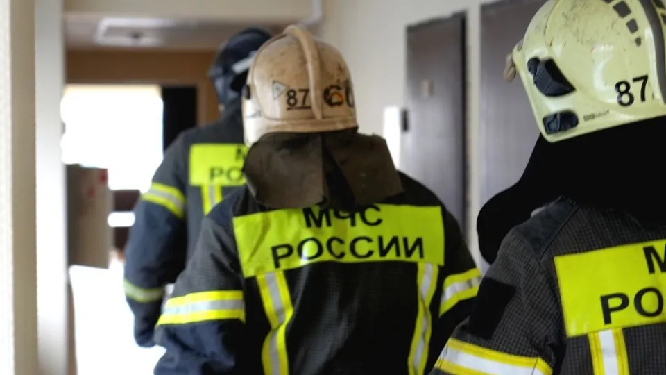 Фото: МедиаБанк Подмосковья