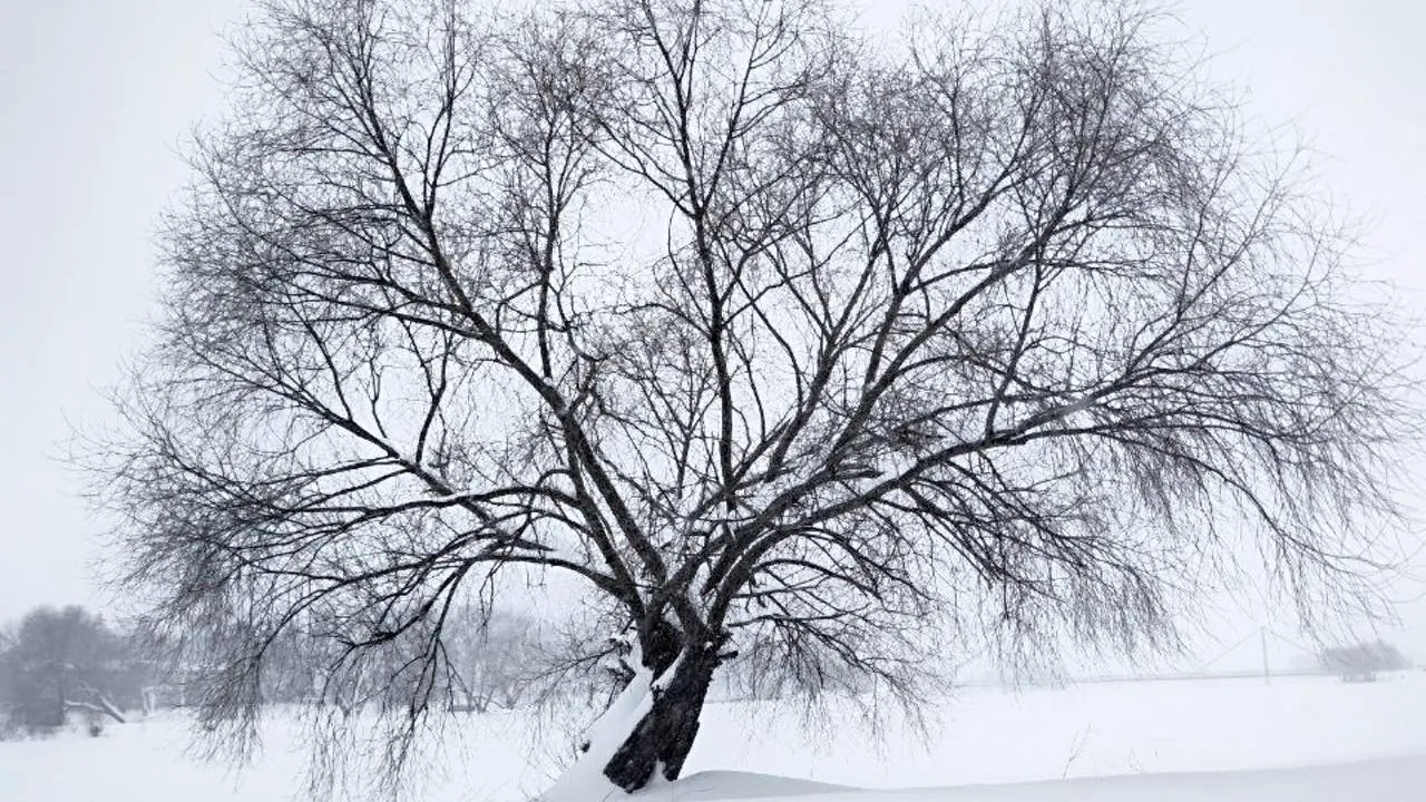 парк «Бронницкий луг»