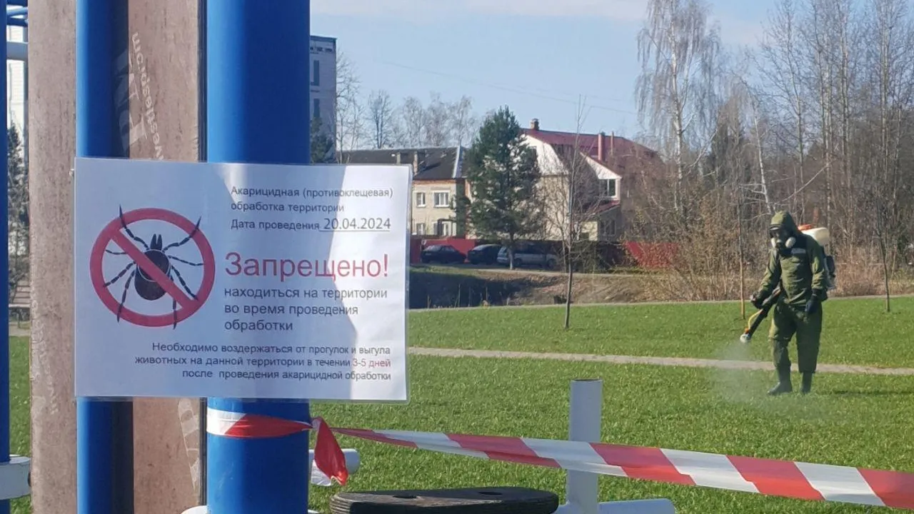 Фото: пресс-служба Министерства благоустройства Московской области