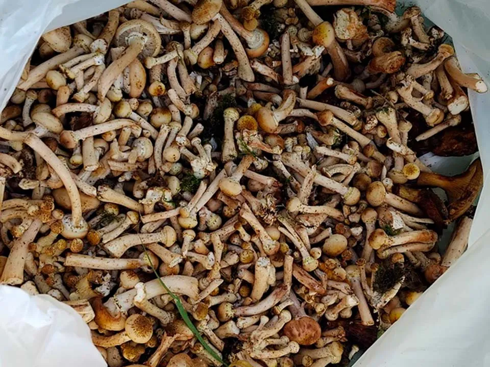 Фото: vk.com/Татьяна Ragutskai