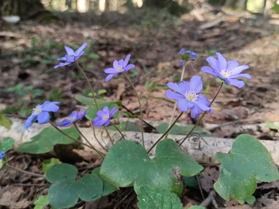 Фото: Людмила Никитина