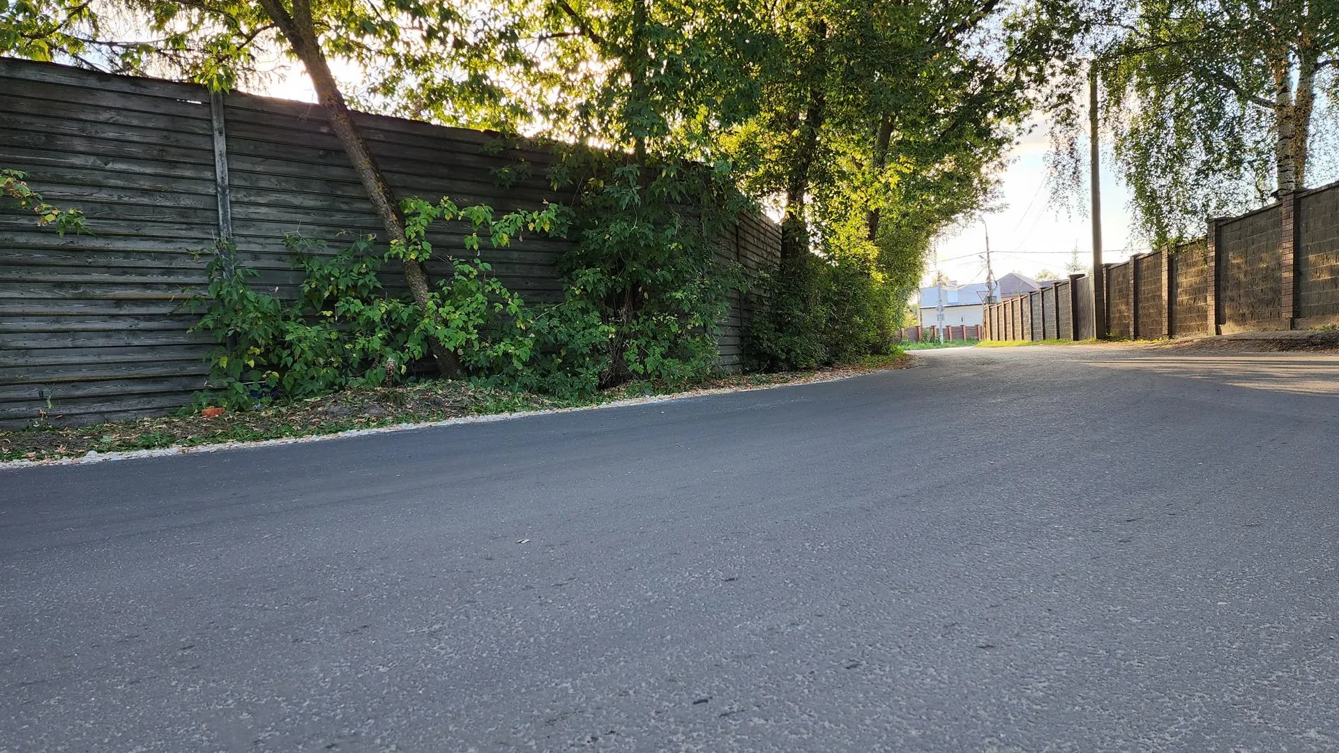 Фото: МедиаБанк Подмосковья/Ирина Моисеева