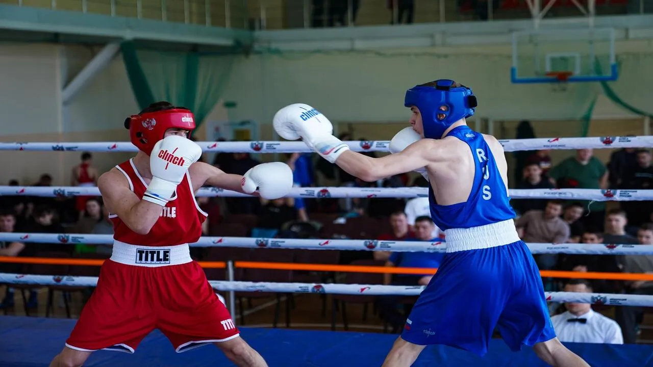 Фото: СШОР по боксу Московской области