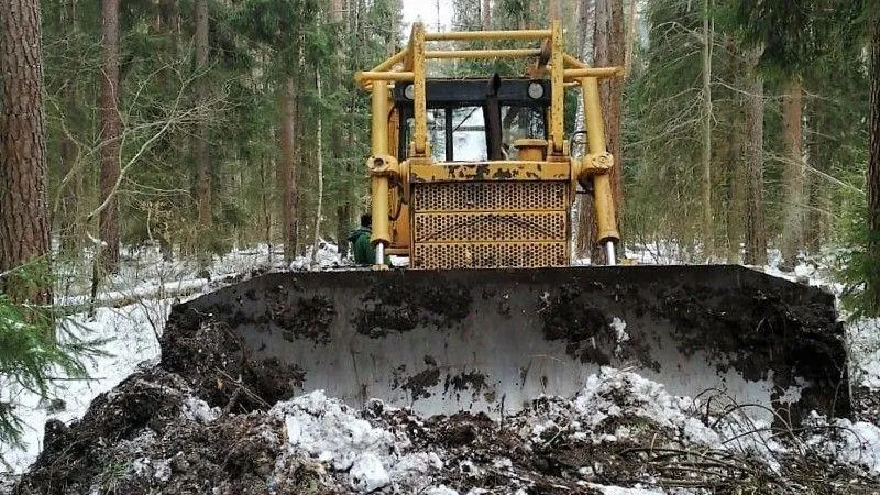 Почти 400 км просек прочистили в лесах Подмосковья с января
